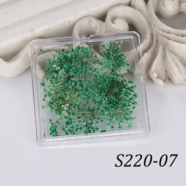1 Box Natural Real Dry Flower Charm - S220-07