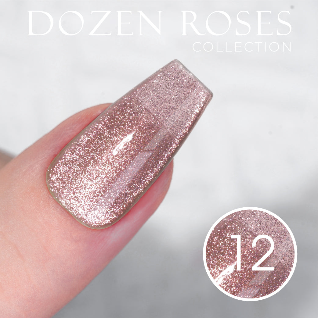 LDS DR 12 Colors - Gel Polish 0.5 oz - Dozen Rose Collection