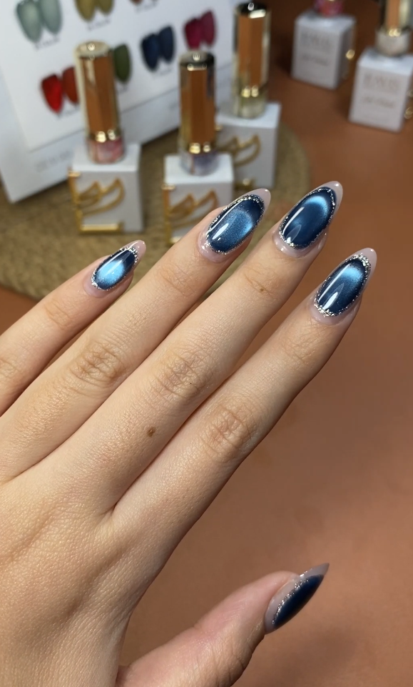 LAVIS Cat Eyes CE10 - 11 (Ver2) - Gel Polish 0.5 oz - Beauty Bureau Collection