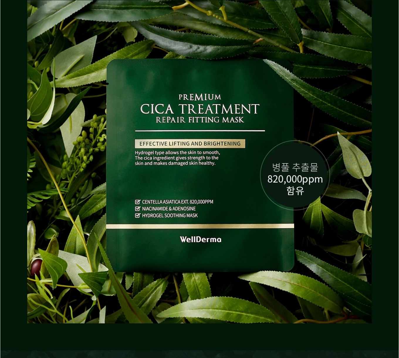 WellDerma Premium Cica Treatment Repair Fitting Mask