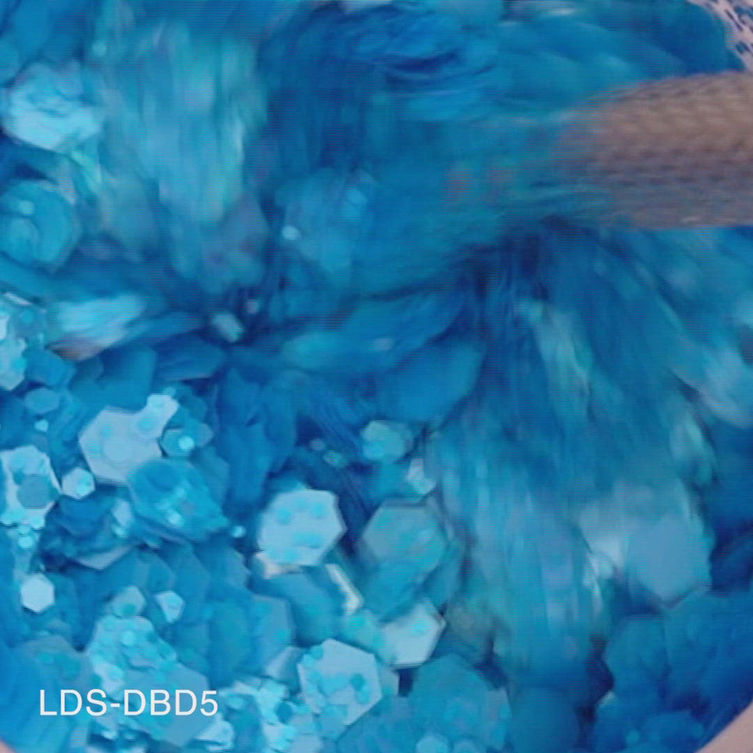 Load video: LDS Glitter Nail Art - DBD05 0.5 oz