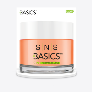 SNS Basics Dipping & Acrylic Powder - Basics 029 by SNS sold by DTK Nail Supply