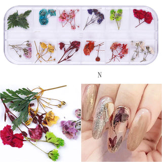 Mix Dried Flowers Nail Decorations - N