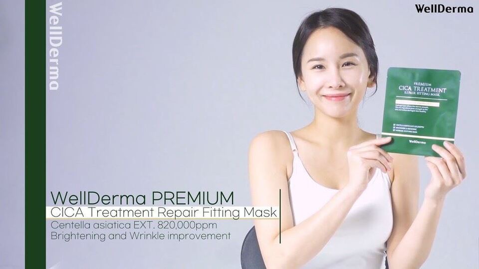 WellDerma Premium Cica Treatment Repair Fitting Mask